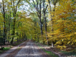 Mosbeekweg
